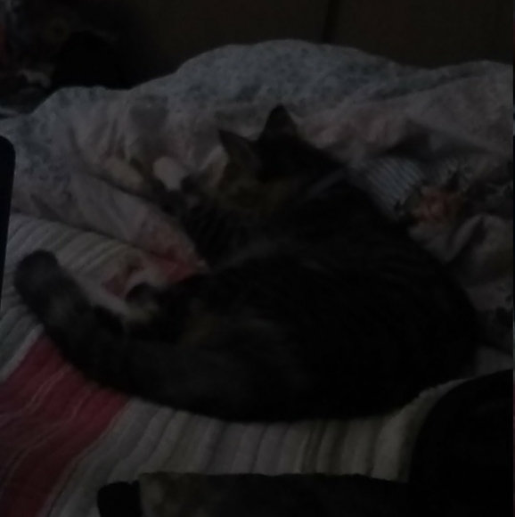 Meet your Posher, Una - Picture 1 of 1